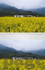 2021国产麻豆剧传媒免费-洞见2021，国产麻豆剧传媒免费新生态下的文化消费趋势