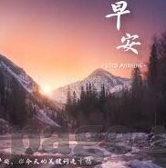 关于大象的故事视频-探索自然界的智慧，关于大象的故事视频
