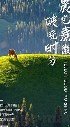 伦理h-伦理的深度审视，在人性与道德的交汇处