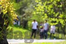 麻豆传媒91-: 面对网络之光的反思——麻豆传媒91现象解析