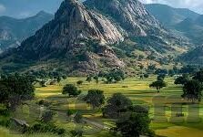 麻豆文化传媒免费网站入口-麻豆风景，文化传媒的绿色之旅