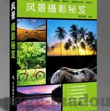 日本成人黄色视频网站-成人内容与网络文化的边界探讨，以日本成人黄色视频网站为例