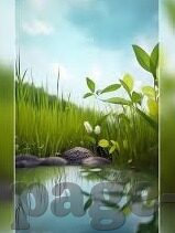 糖心app官方下载-调优糖心时光，解锁APP世界新体验